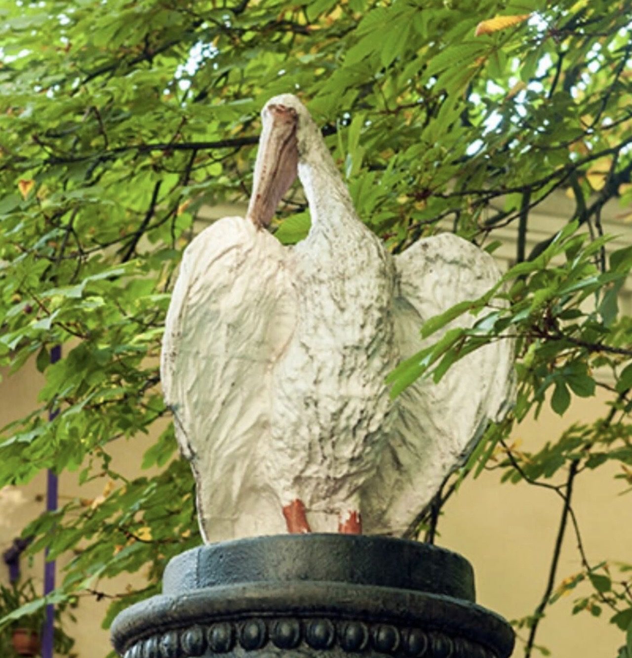 Lynn Montgomery: My 172 Days in a Kyiv Airbnb