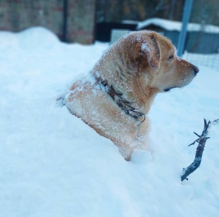 Lynn Montgomery: My 179 Nights in a Kyiv Airbnb