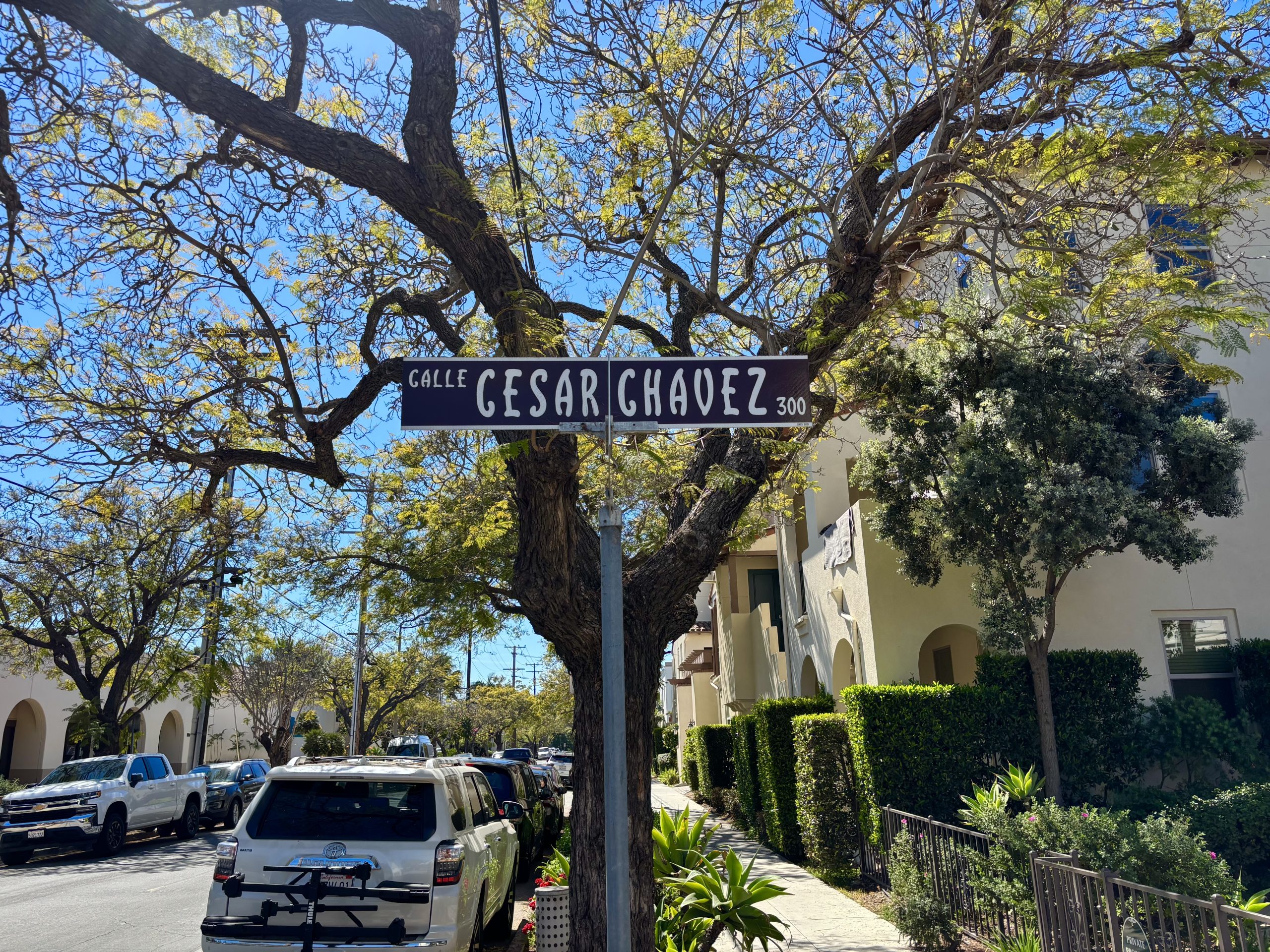 Santa Barbara takes first steps toward renaming Calle Cesar Chavez ...