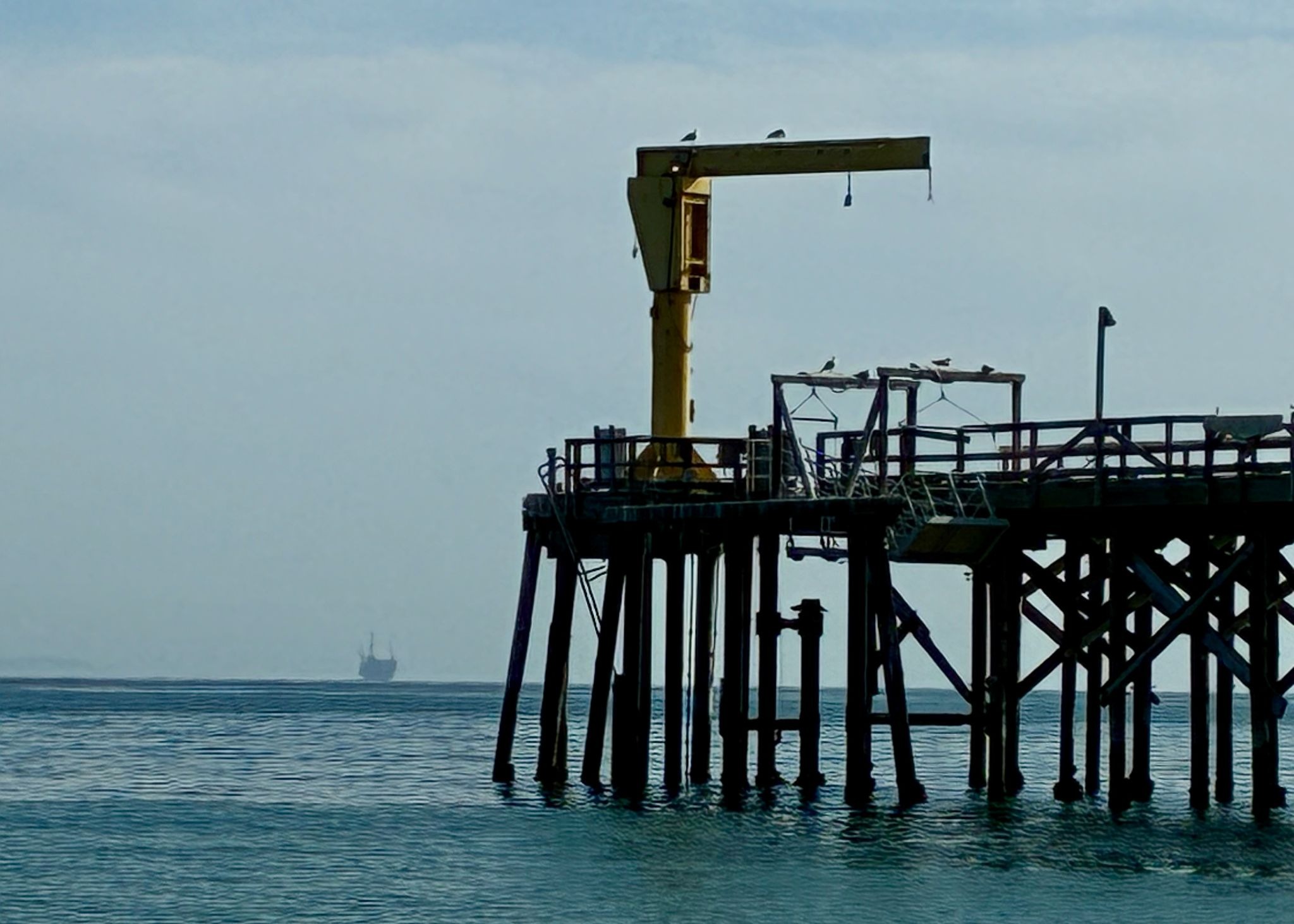 California Coastal Commission to Sable Oil: cease and desist order is on the way