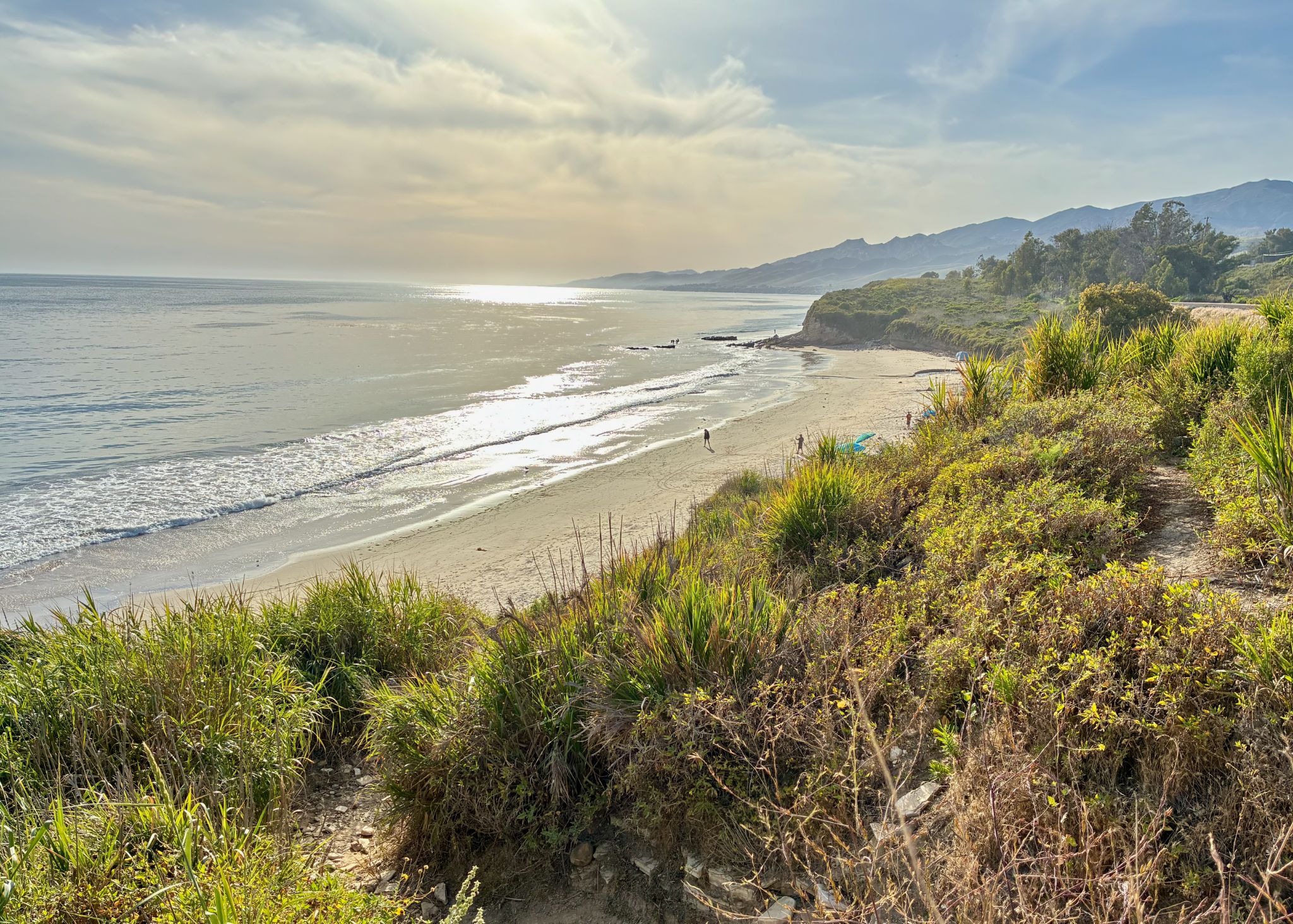 Agent Orange precedent: Inside the latest ruling against Sable oil pipeline