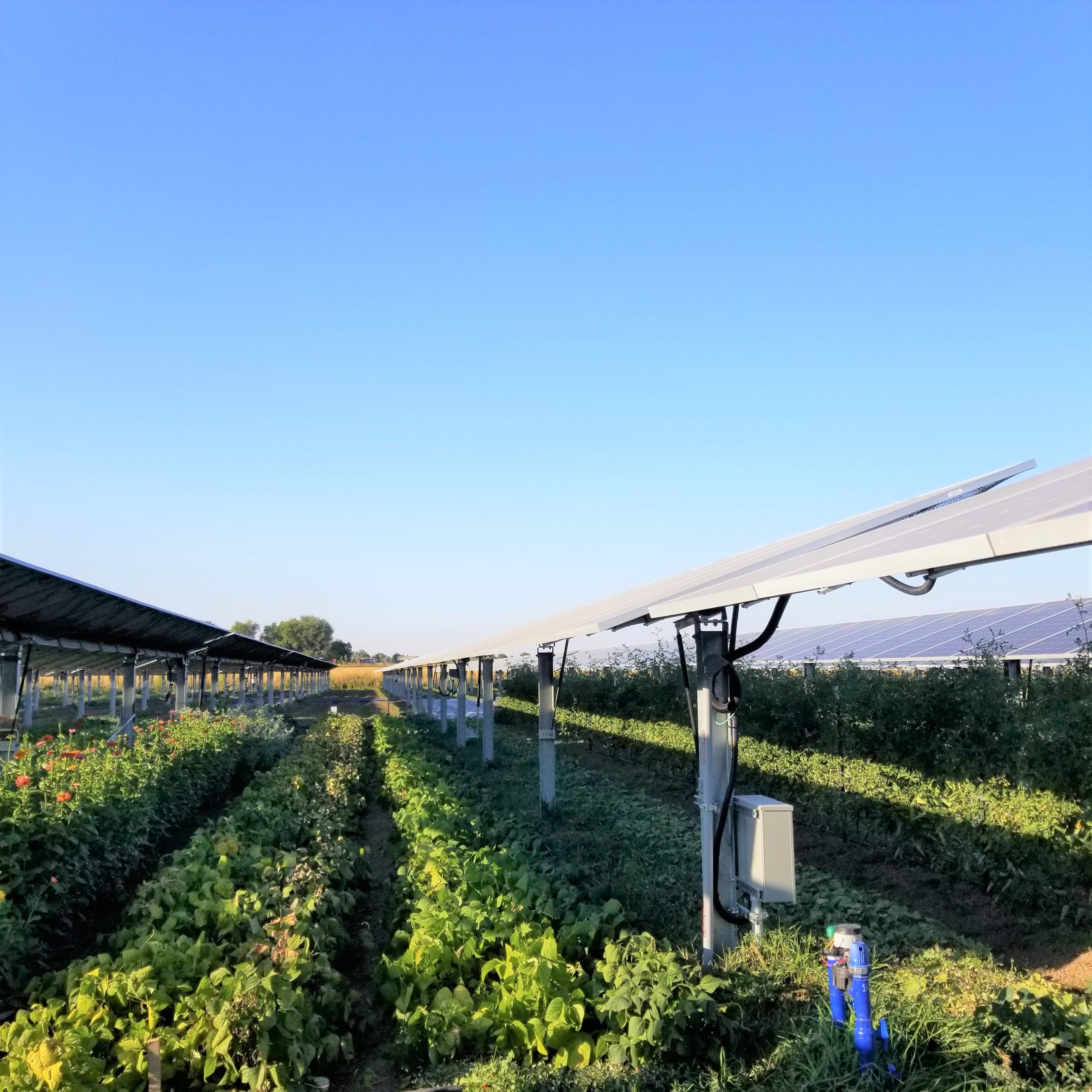 SB loosens restrictions on solar energy